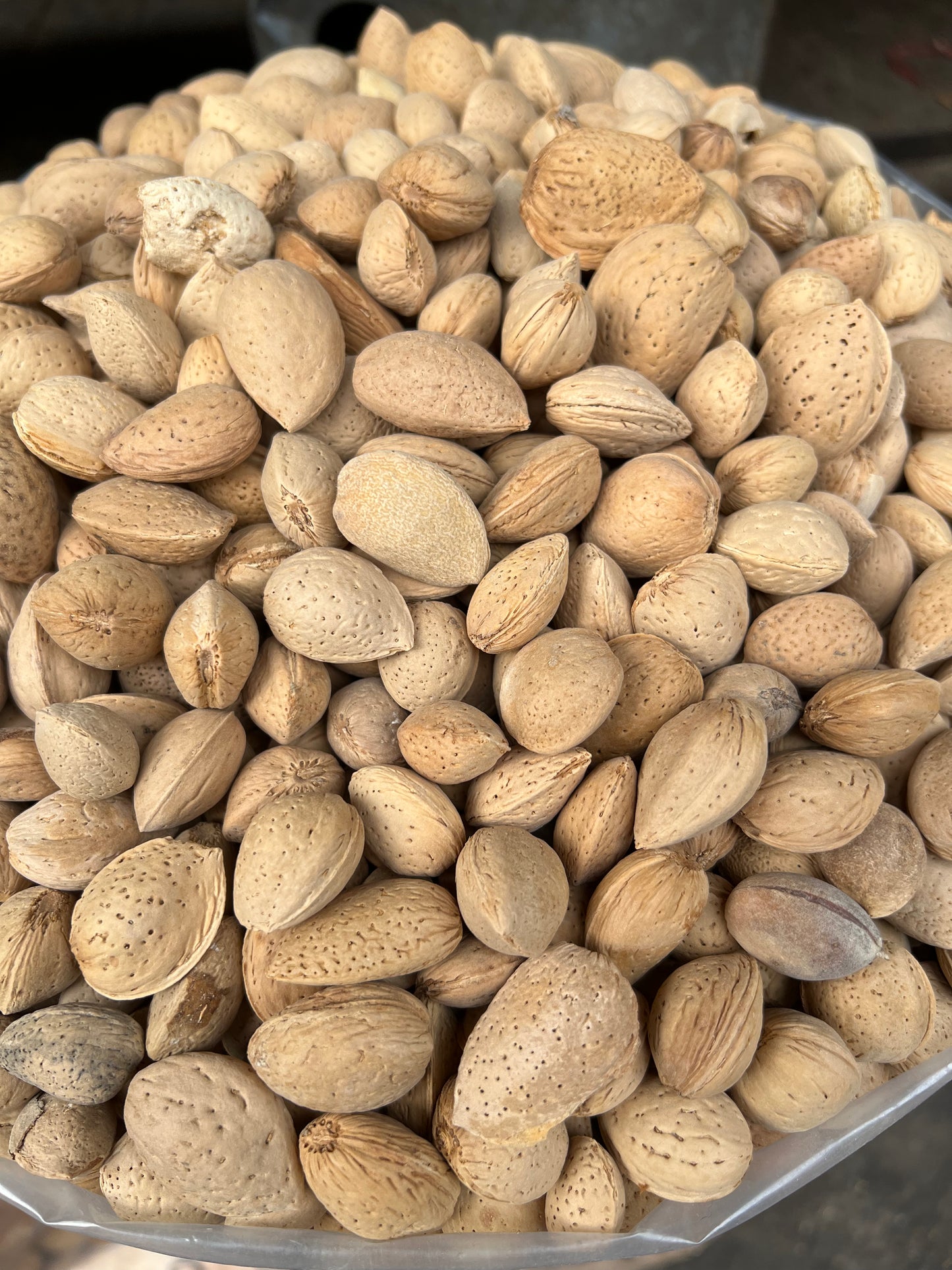 Badam Giri Gurbandi (Almond Without Shell)