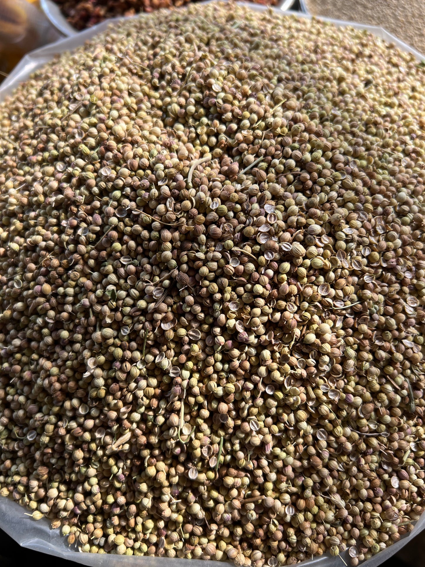Coriander Seeds (Sabat Dhanya)