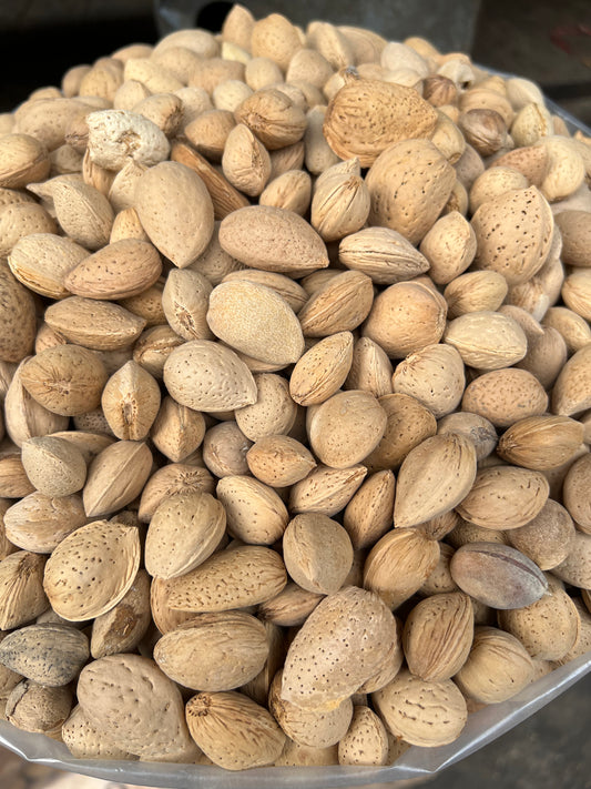 Badam Giri Gurbandi (Almond Without Shell)